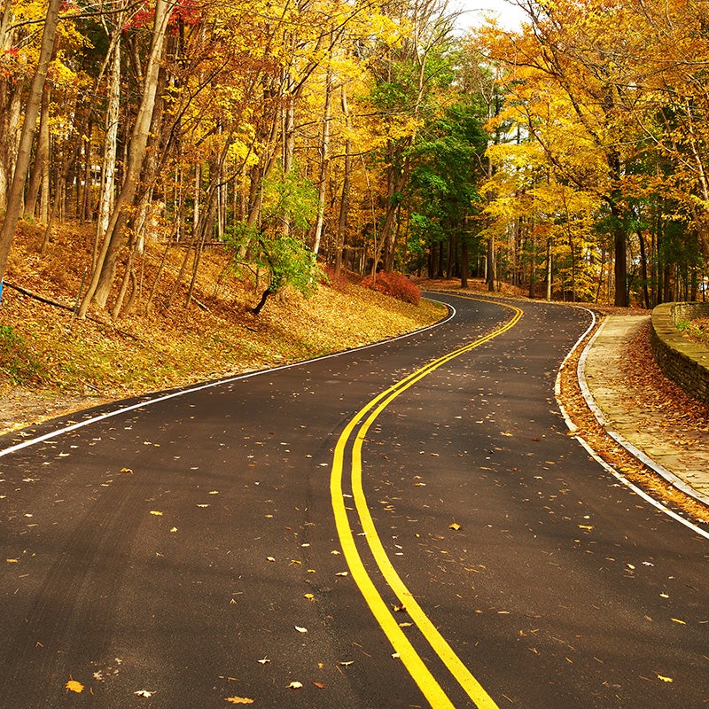 Merced Chevrolet in Merced CA rural road in autumn