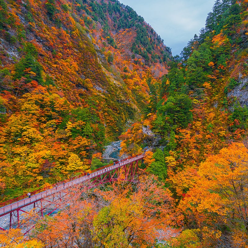Merced Chevrolet in Merced CA bridge in autumn hills